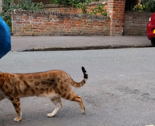 img_20160928_170614-1