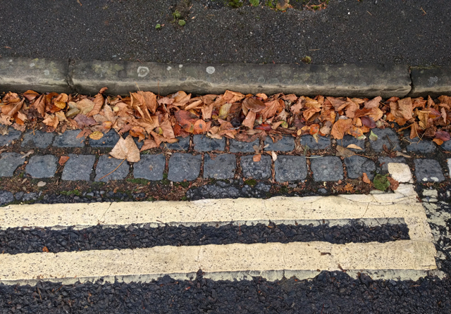 img_20161014_110843-1