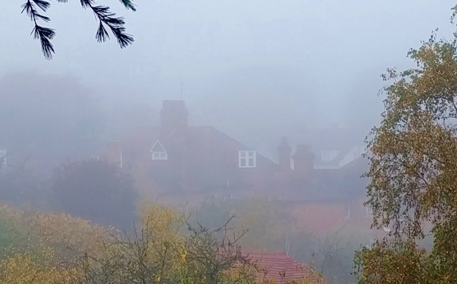 img_20161031_073415-1